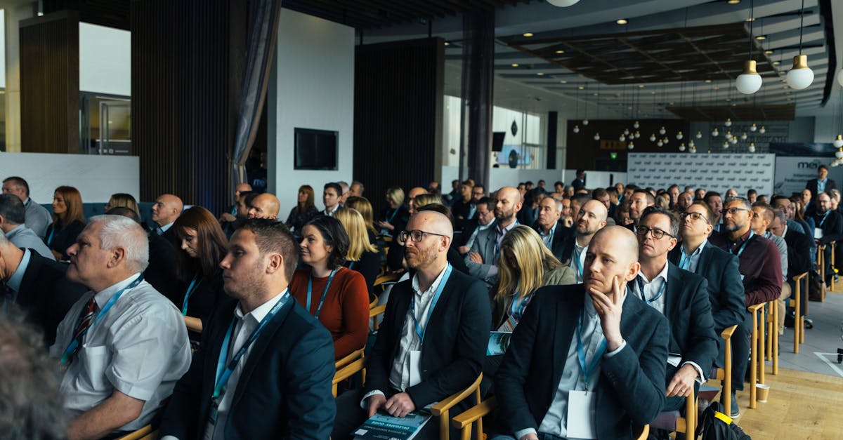 Mond梦都蓝莓:济宁代驾平台代理