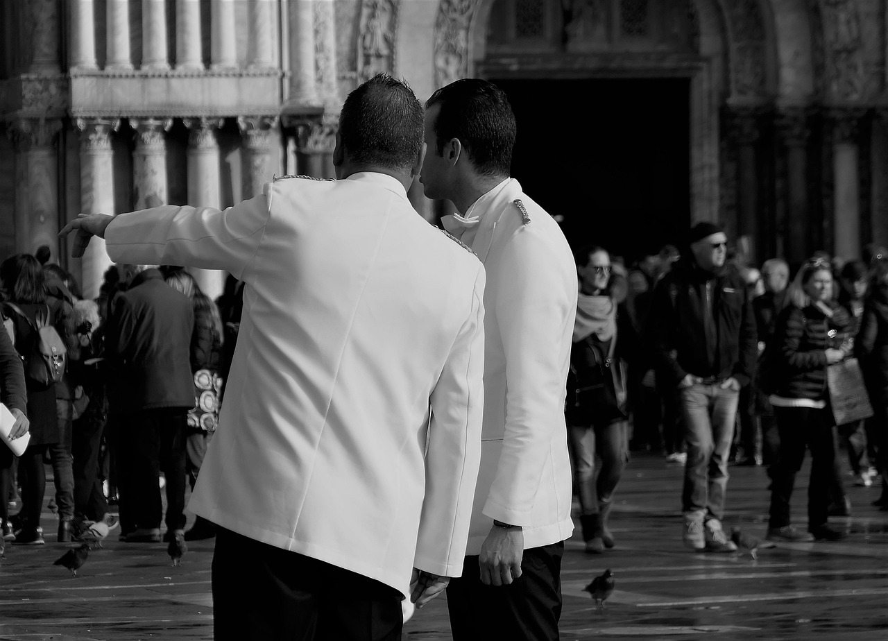 他趣实名账号：番茄小说购买平台