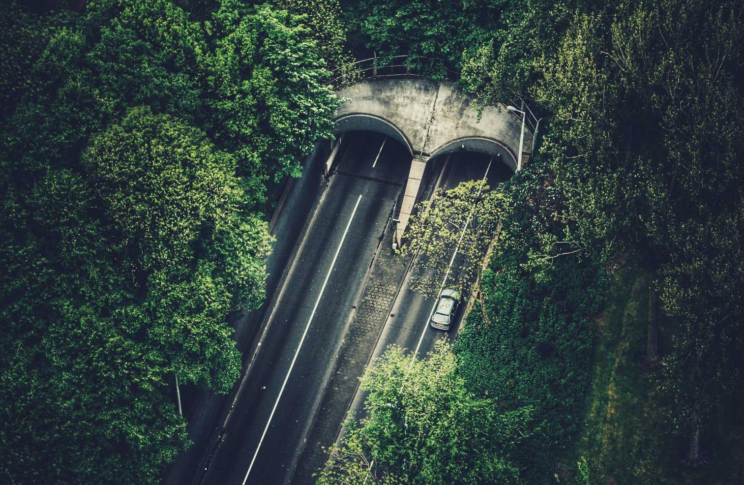 魔方云实名账号：家园共育app详情下载教程