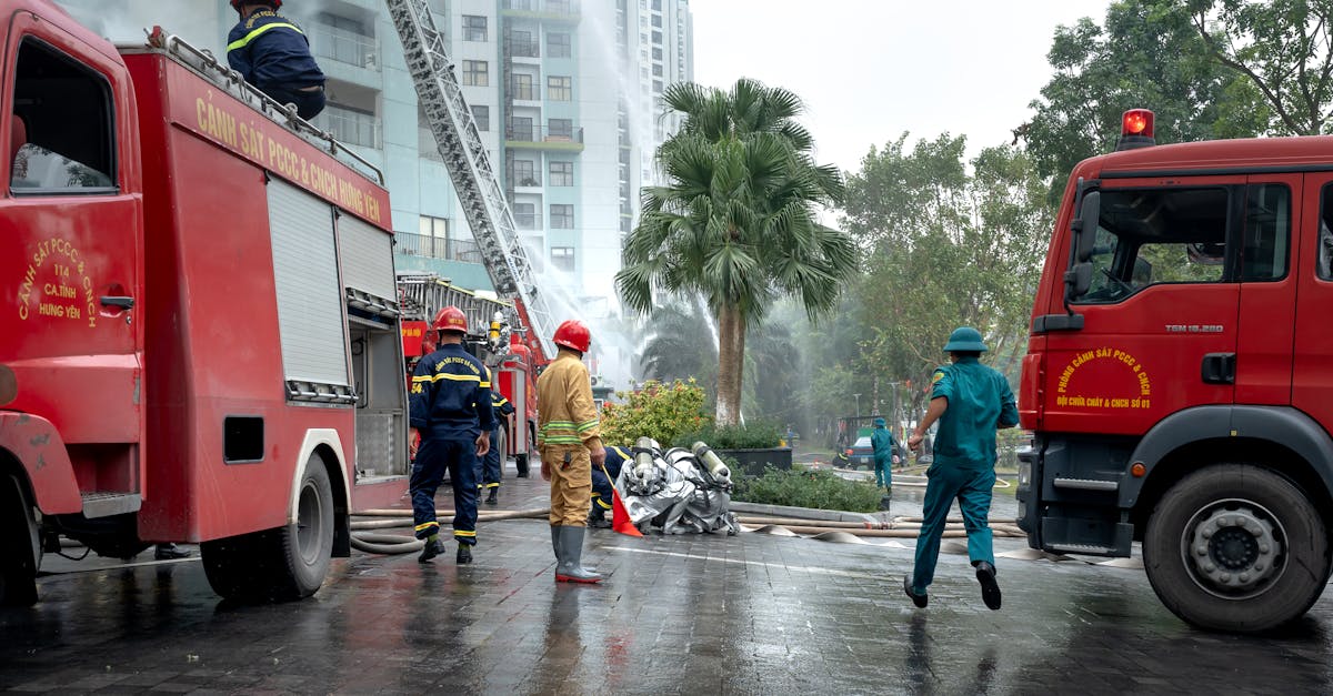 七星柔和7mg：大鱼游戏平台开户