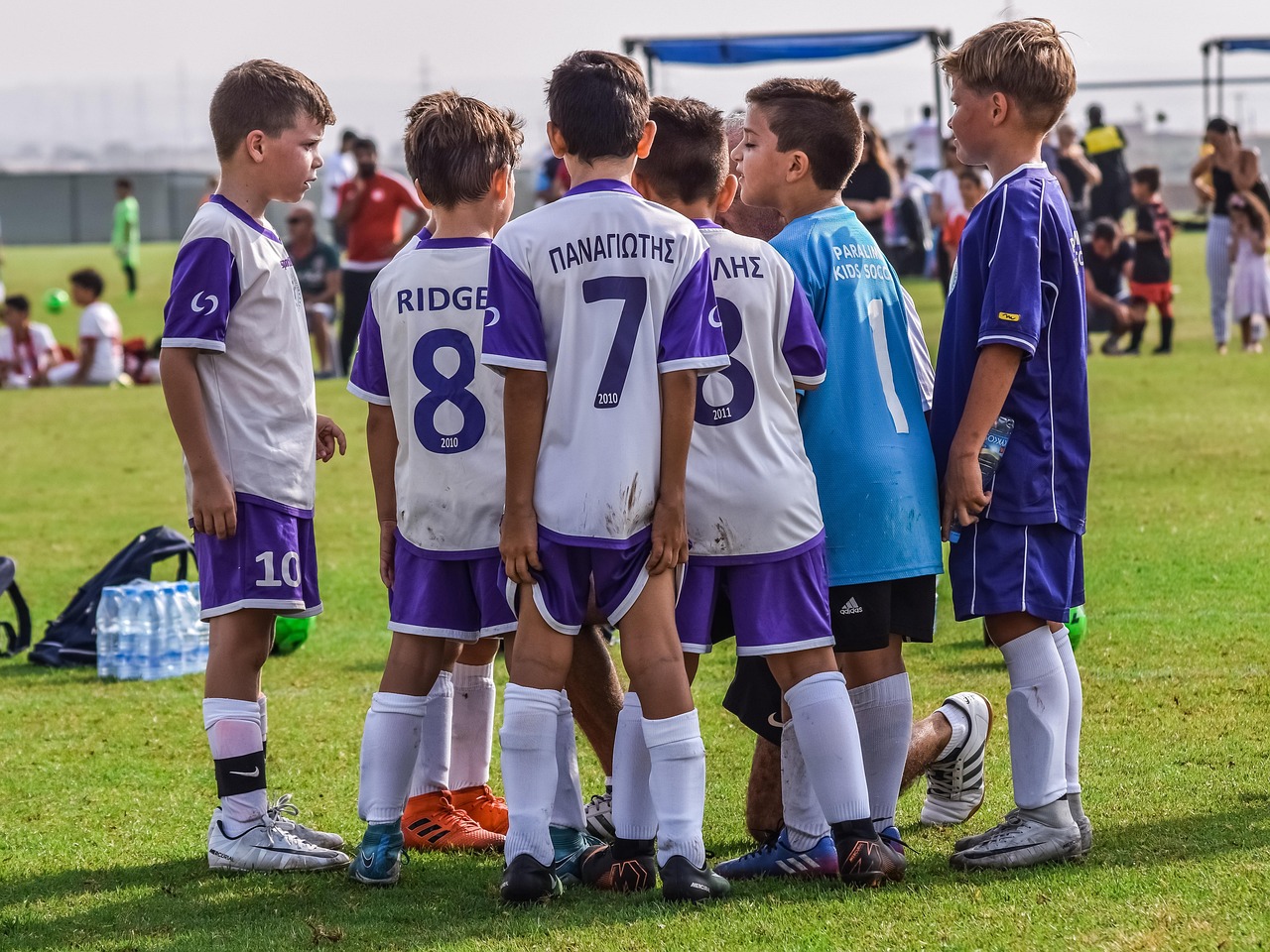 市场生态与企业营销的重要匹配