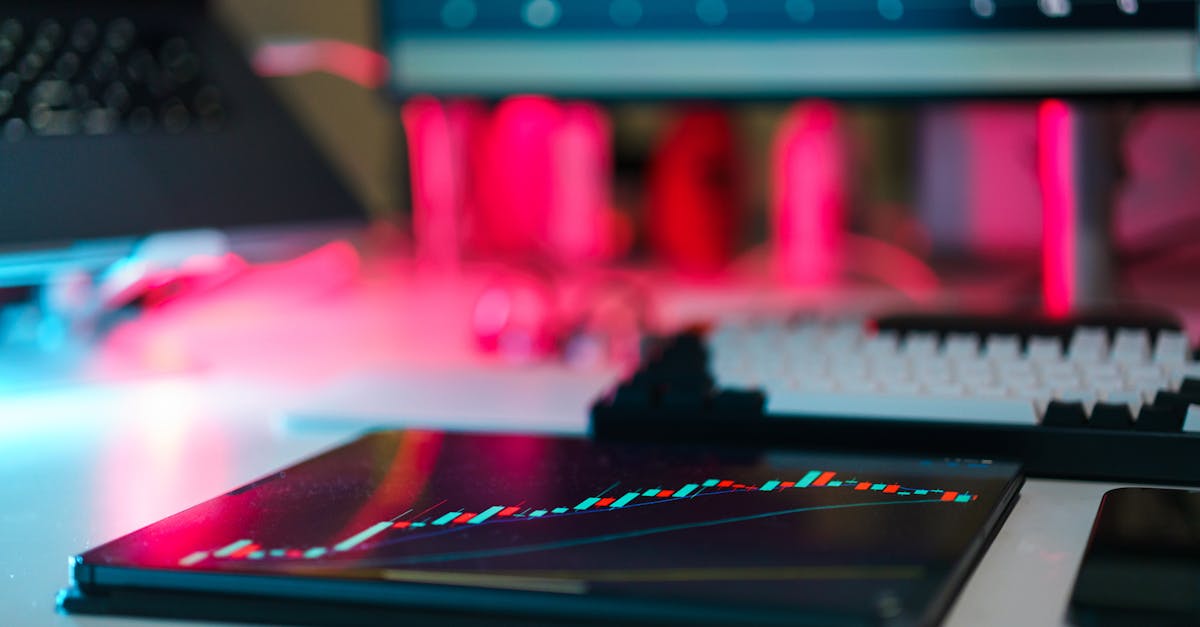 狩猎时刻:yobo团队竞技app详情下载教程