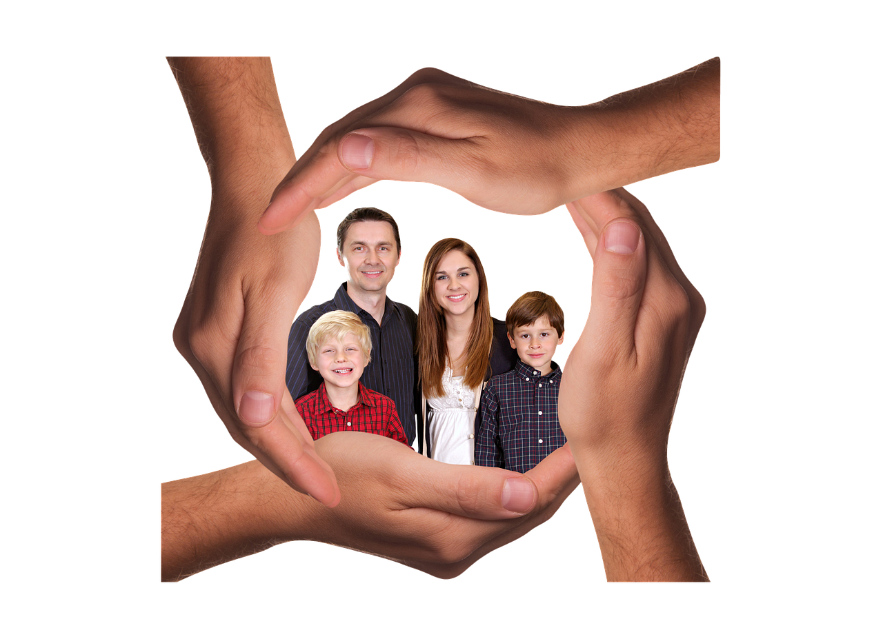 星耀免费招生代理平台