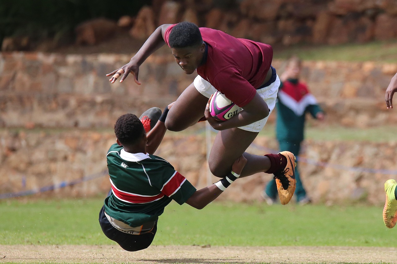 摩天28圈平台代理